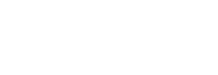 Platige Image